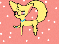 Cute cat