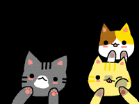 Squashed