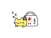 Kitty