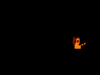 Cat jump