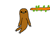 Sloth