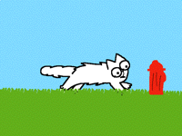 Simons cat running