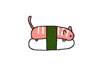Sushi kitty