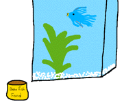 Bob the beta fish(mine)