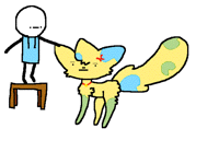 Don't pat the cat! Oh well I warned you