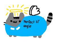 Angle pusheen