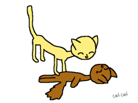 Cats playing