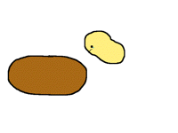 Life of potatos