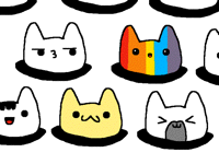 Kitty love