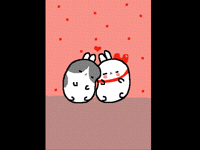 Hamster love