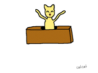 Cat in box