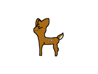 Derp deer