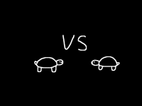 Turtle vs turtle