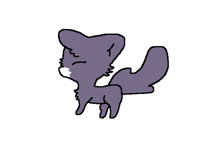 Cute cat