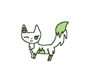 Grass cat