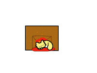 Kitty sleeping