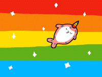 Narwhal