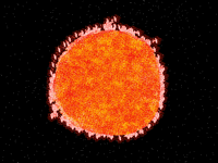 SUN