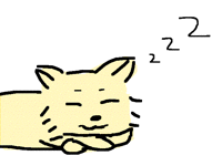 dont disturb the sleepy cat