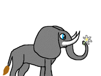 An elephant cuz' I can