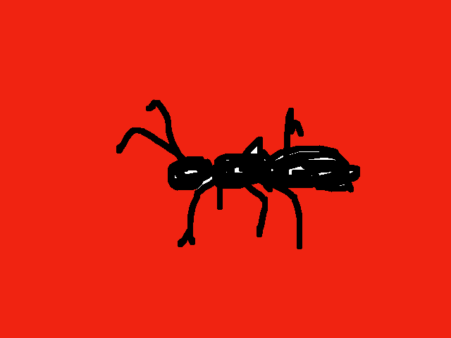 アリ