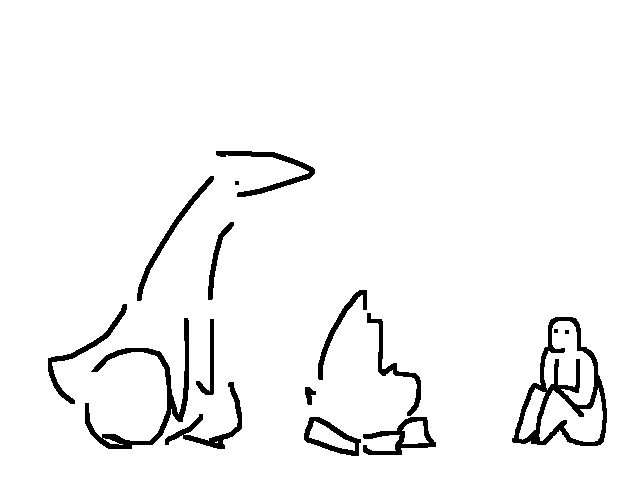 bonfire