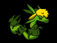 RayquaLink