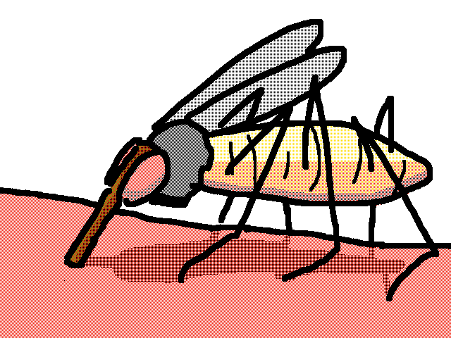 Moskito