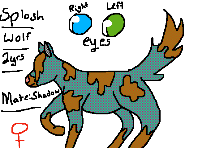 Splosh new OC