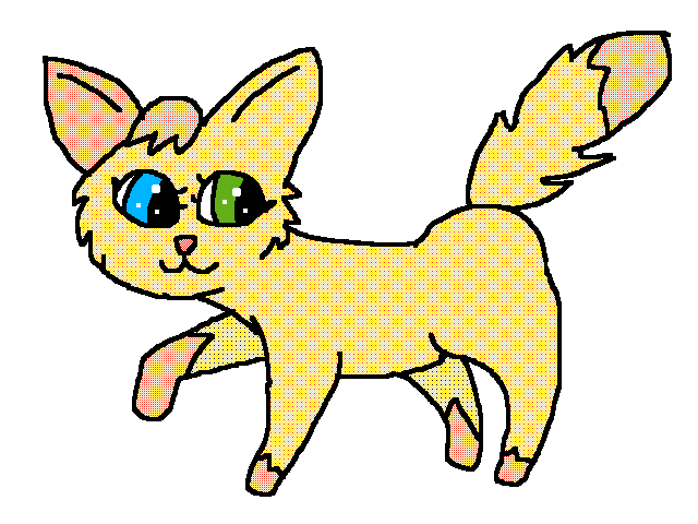 What should I call this cat