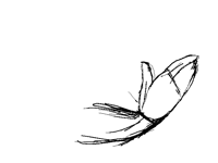 Here’s a random hand nobody needed
