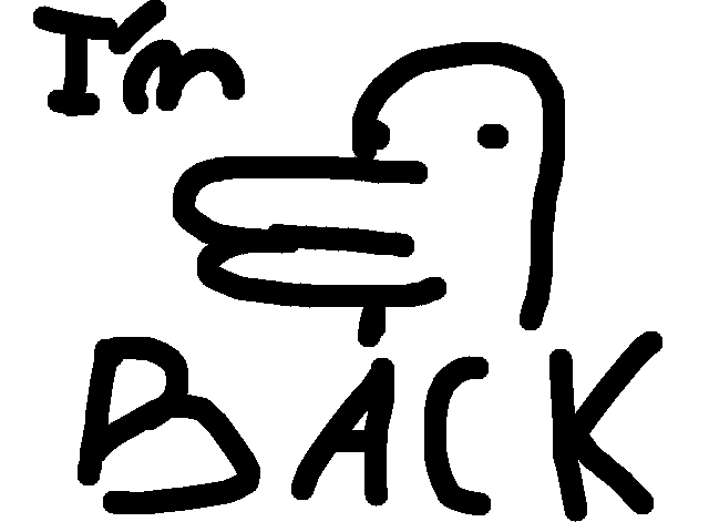 Duck lies
