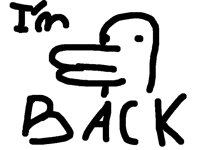 Duck lies