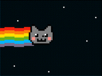 Nyan head