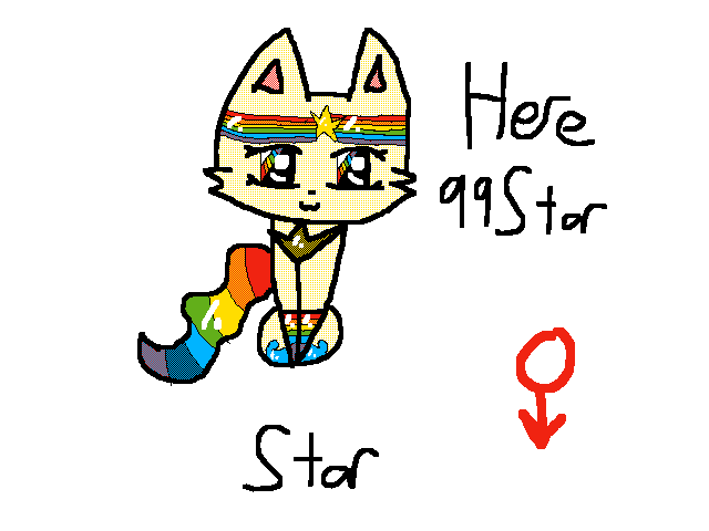 The cat that @qqStar won at the contest