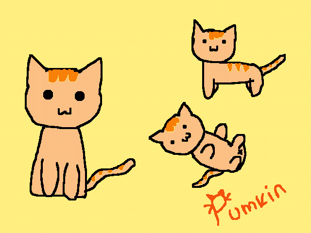 New OC Pumkin (Main OC)