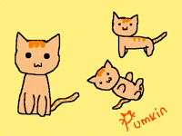 New OC Pumkin (Main OC)