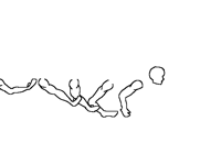 I’m too lazy to finish this…
