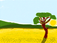 A day in the Savanna
