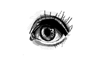 An eye