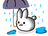 Bunny in the Rain