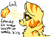 @camerabdoggle clan cat?