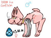 @goldenstar Box contains