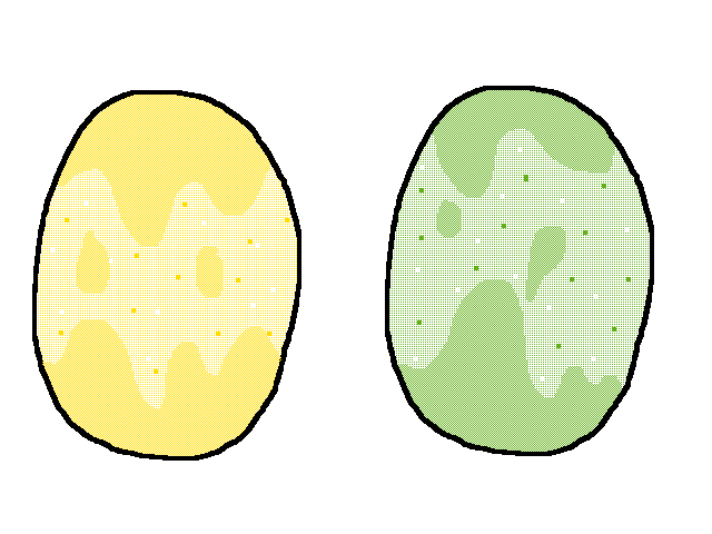 THE MORPHING TWIN ADOPTS(HATCHED)