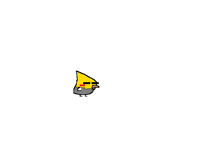 The birb