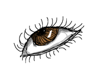 Eye