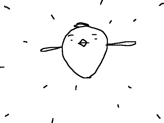 bird