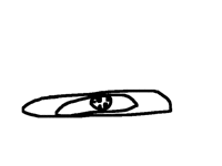 The cookie