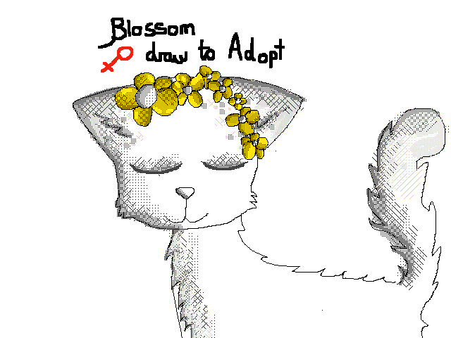 Draw to adopt blossom