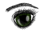 Short quick draw :)